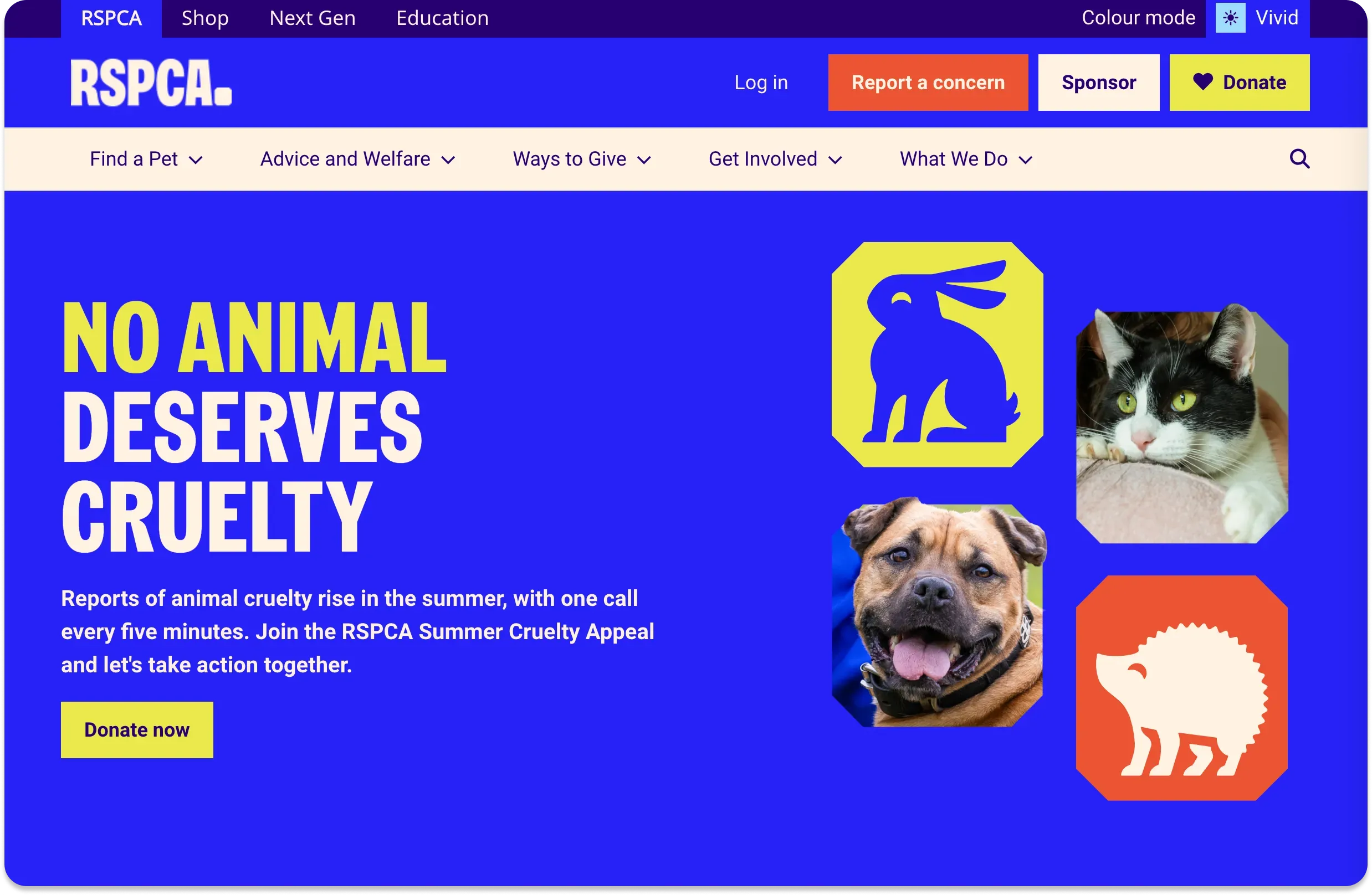 RSPCA UK Case Study